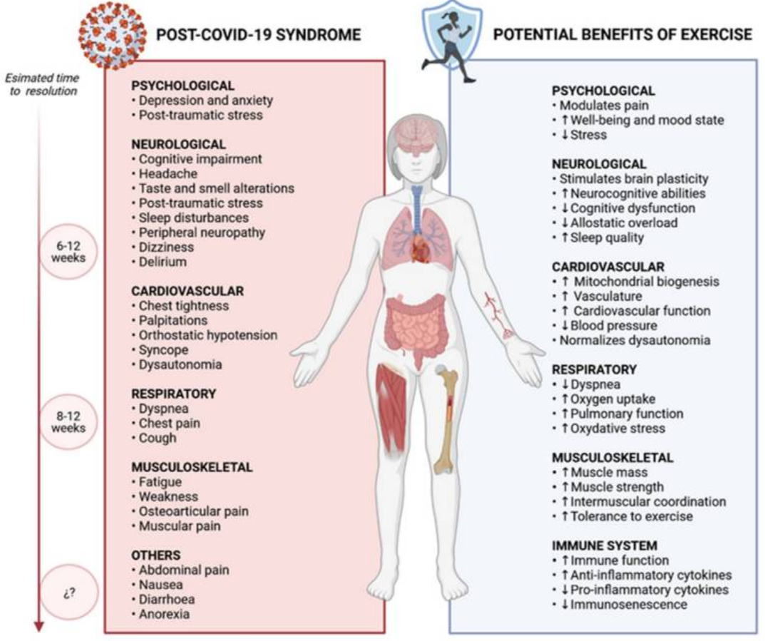 Post-Covid y ejercicio, una necesidad image005 1